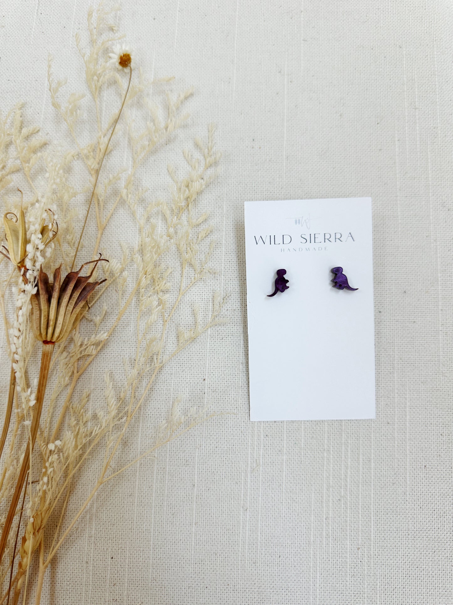 Dinosaur Acrylic Studs